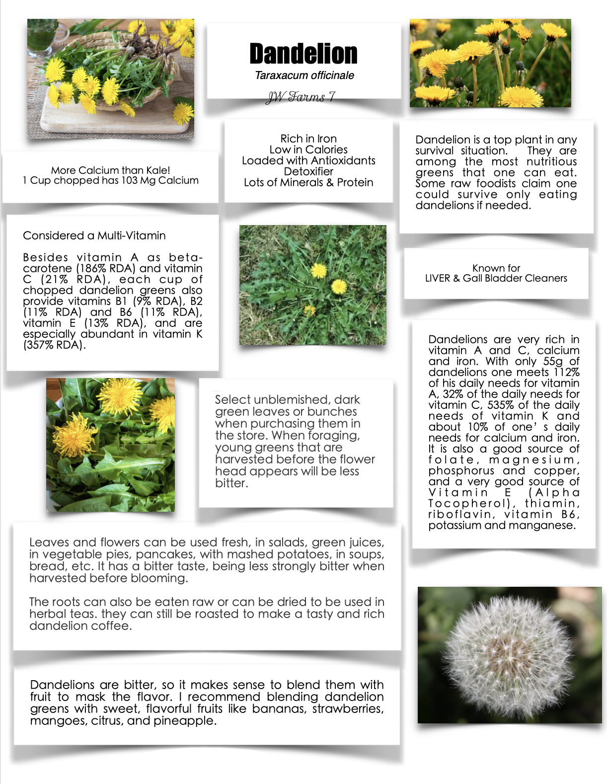 Dandelion preview Dandelion herbal reference preview