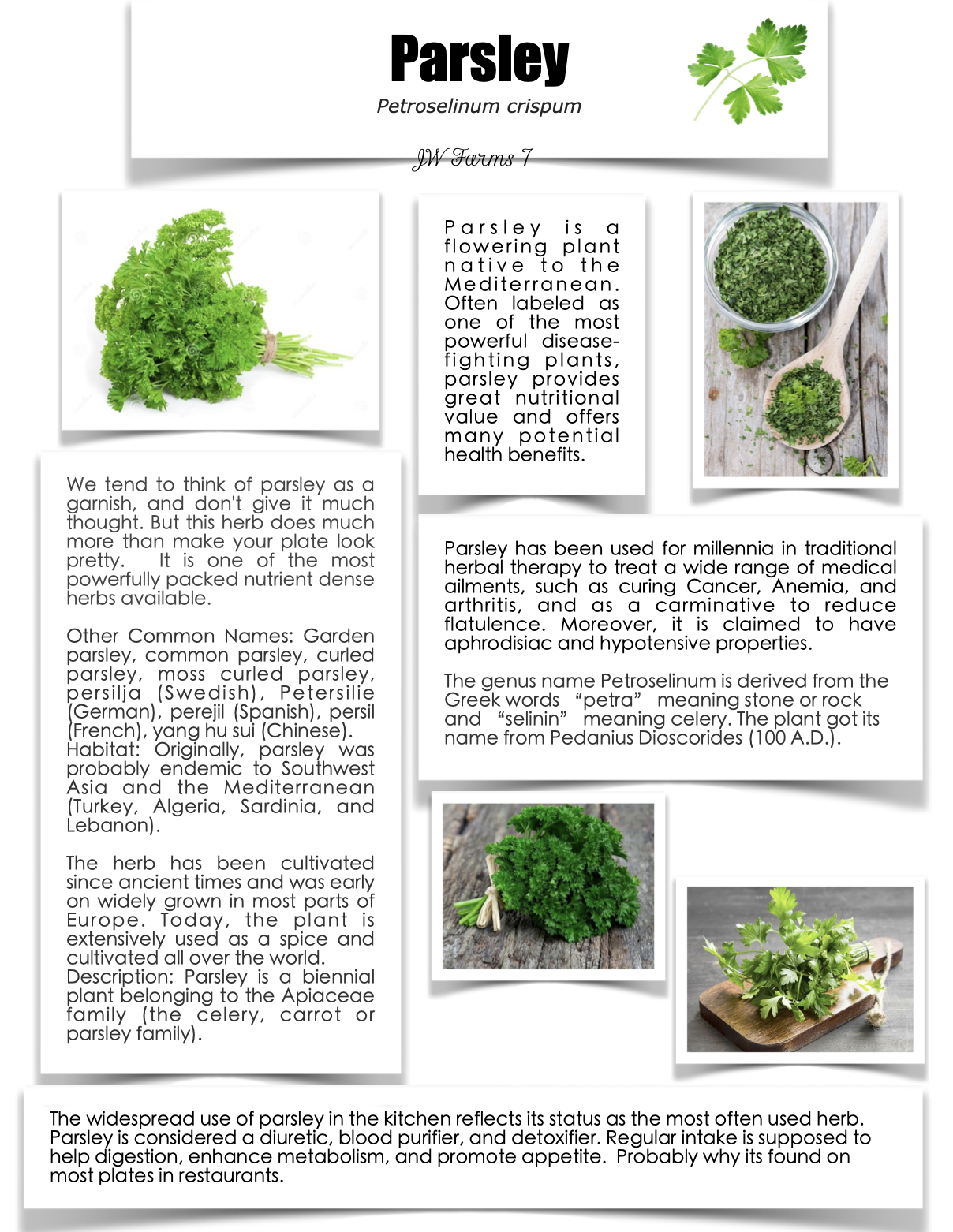 Parsley preview Parsley herbal reference preview